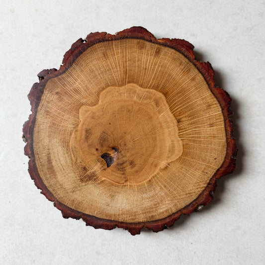 The English Oak Placemat