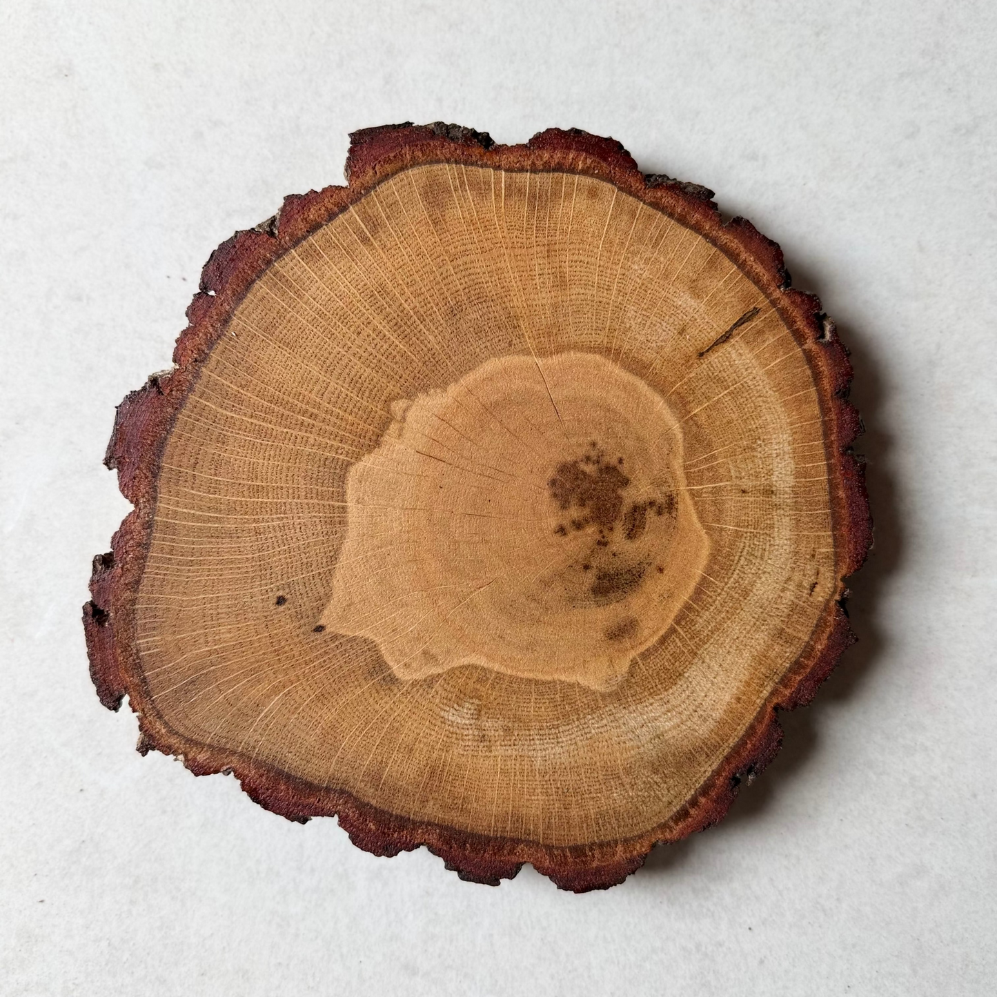 The English Oak Placemat