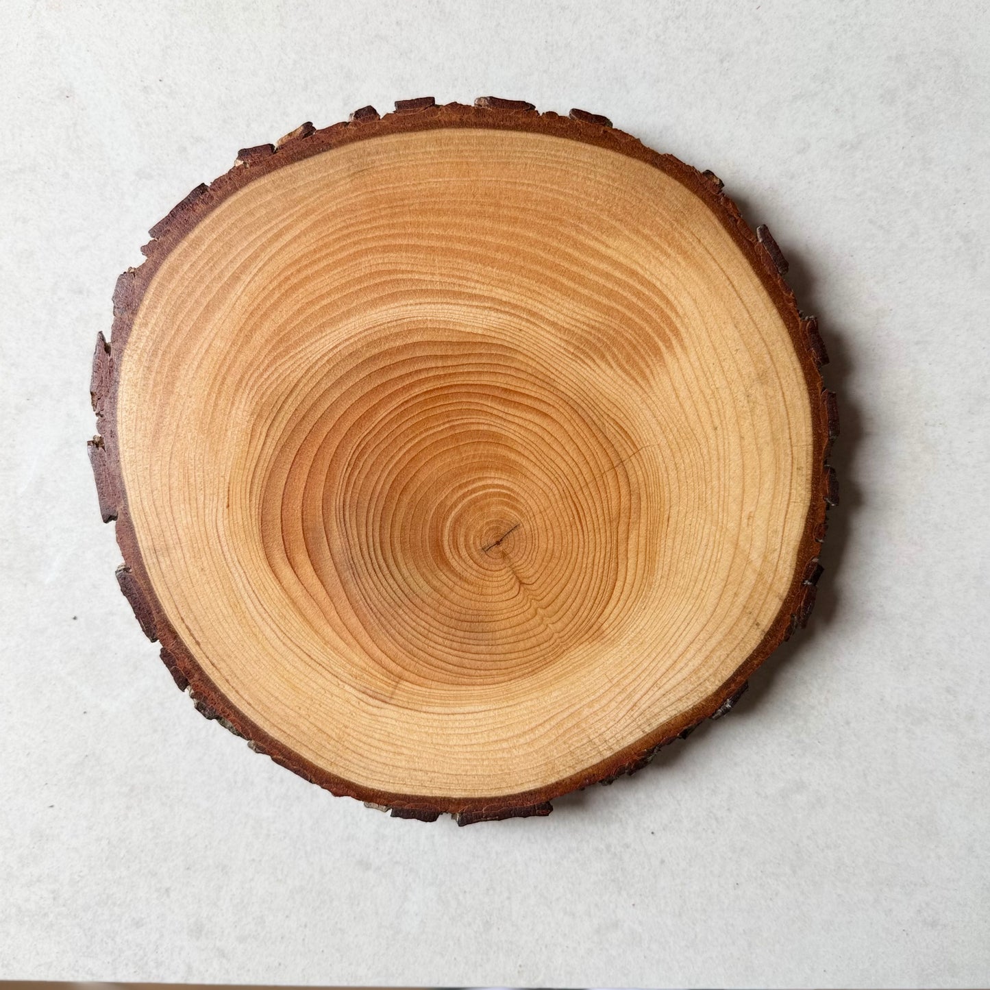 The Atlas Cedar Placemat