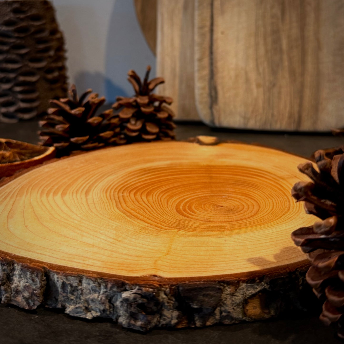 The Atlas Cedar Placemat